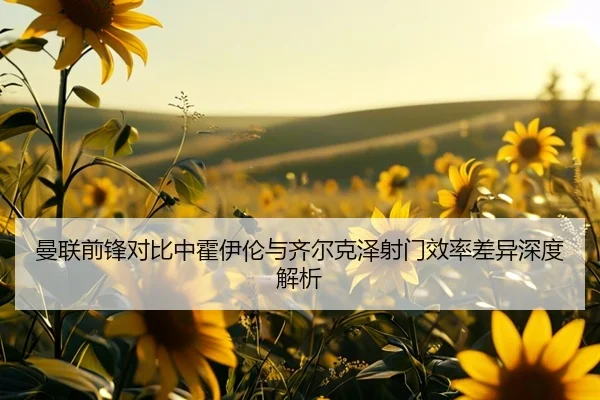 曼联前锋对比中霍伊伦与齐尔克泽射门效率差异深度解析